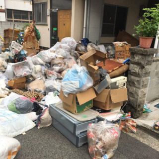 たんまりゴミが出ます