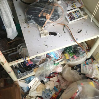 ゴミ屋敷と言えばネズミ！役所のアドバイスでゴミ屋敷専用車両をご用意。
